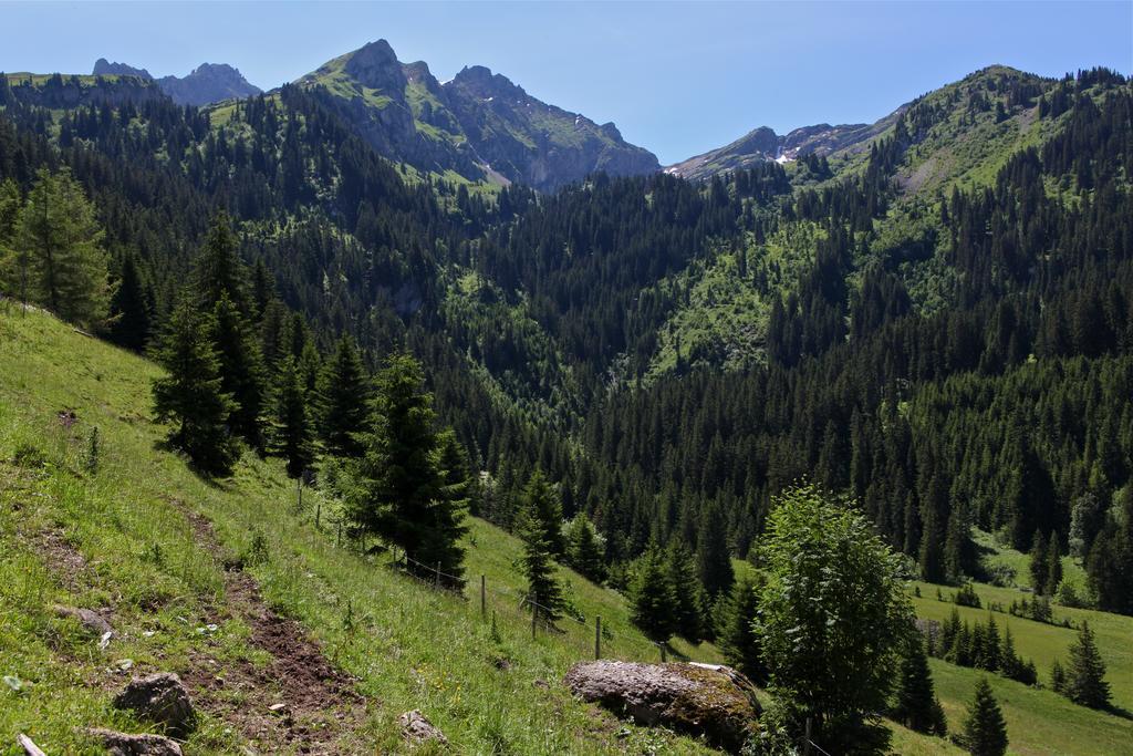 Hotel Le Relais Alpin Les Mosses Eksteriør billede